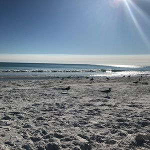 Meet your Posher, Pam